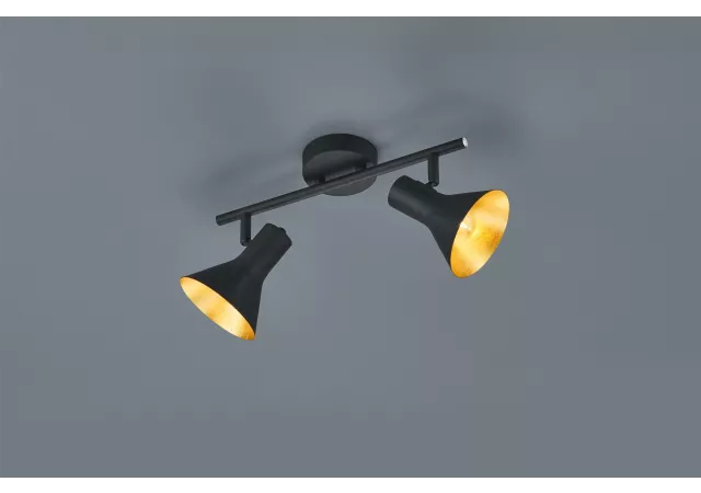Plafondlamp Nina-2 zwart/goud (excl. Lamp)