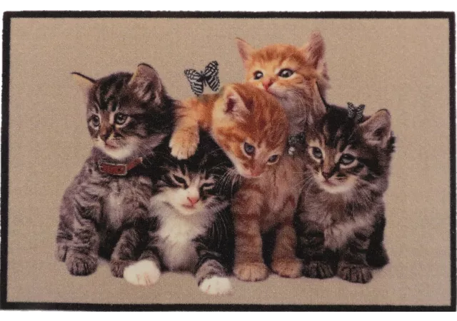 Deurmat groep jonge katten (40x60)