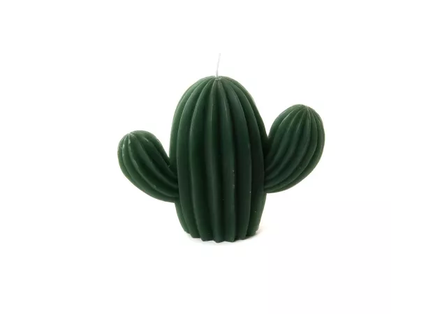 Kaars cactus donkergroen