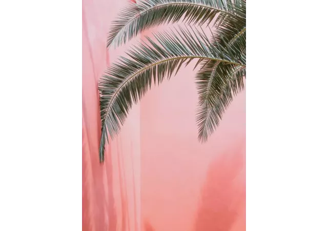 affiche 'Palm on pink n.2' 50x70