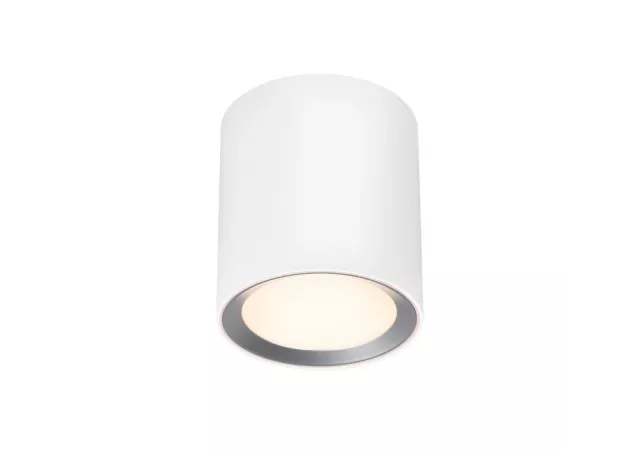 Landon plafondlamp wit incl. LED (h.14cm)