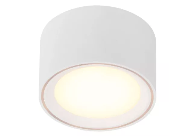 Fallon plafondlamp wit incl. LED (h.6cm)