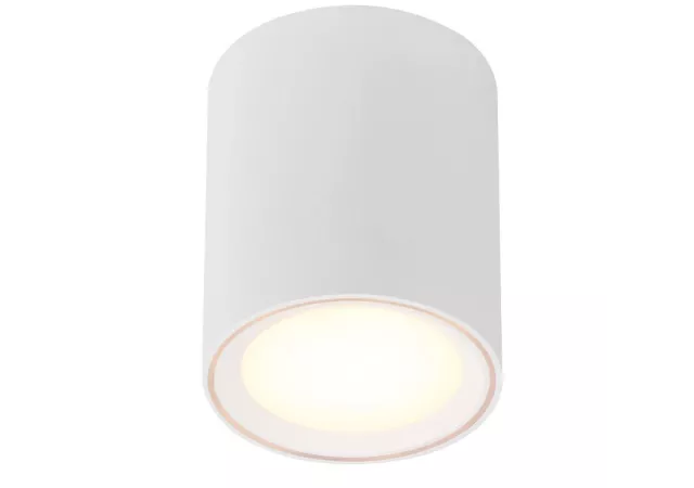 Fallon plafondlamp wit incl. LED (h.12cm)