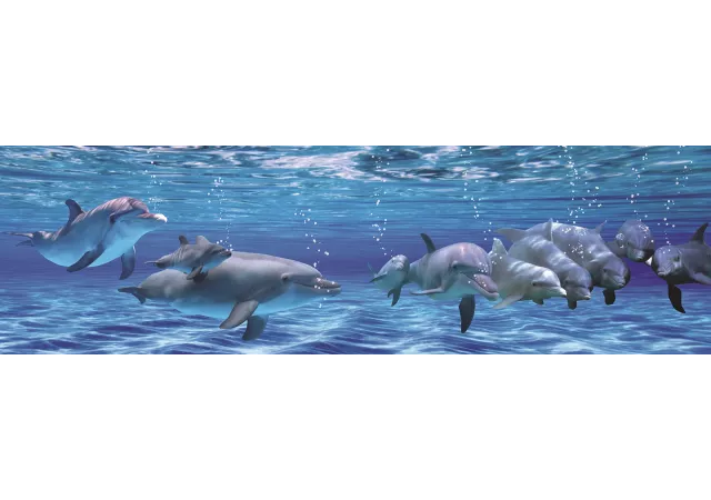 Glaskader (acryl) dolfijnen (180x50 cm)