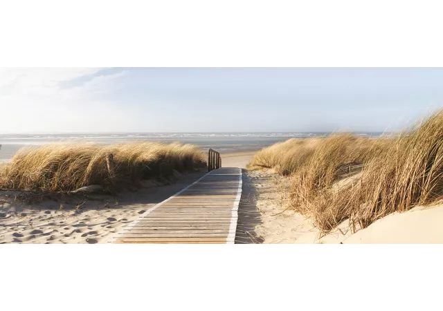 glaskader wandeling door de duinen (50x125)