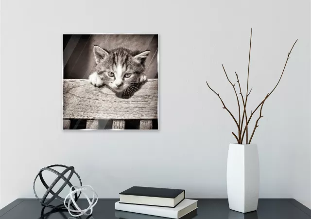 Glaskader cat (20x20 cm)