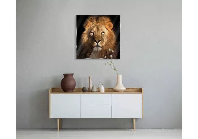 Glaskader leeuw (50x50cm)