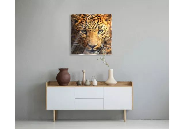 Glaskader luipaard (50x50cm)