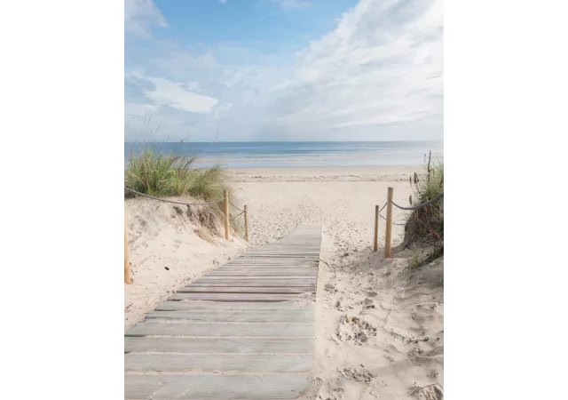 Canvas beach walk (80x60 cm)