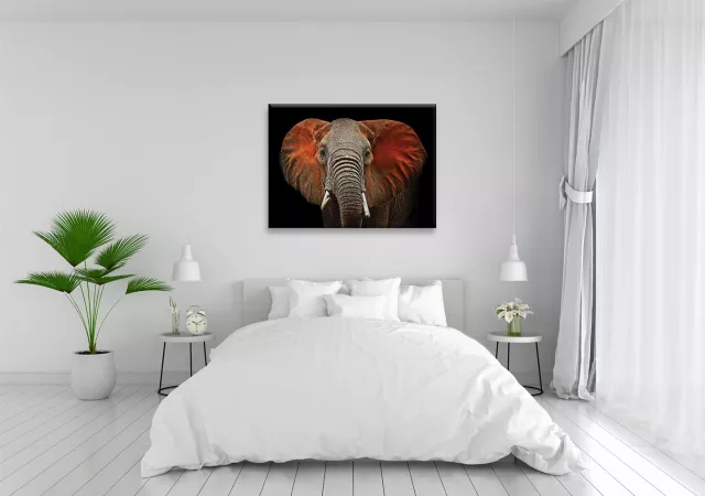Canvas olifant (135x100 cm)