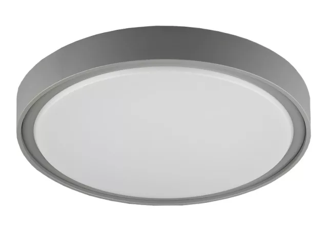Plafondlamp 30cm rond grijs (incl. LED)