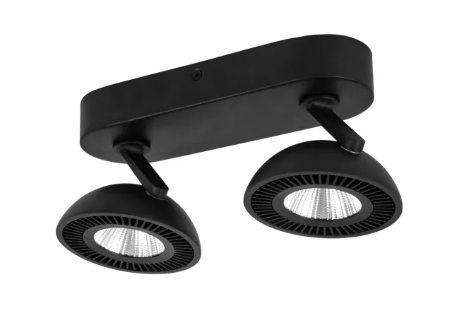 Plafondlamp 2L zwart (incl. LED)
