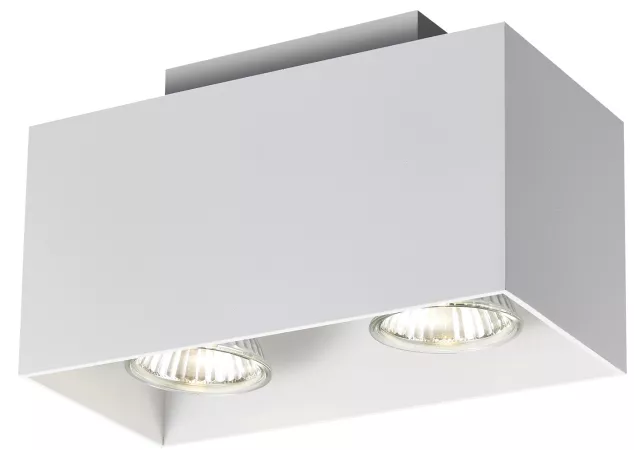 Plafondlamp 2L wit (incl. LED)