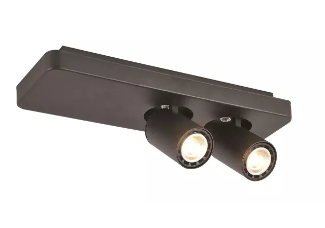Plafondlamp 2L zwart (incl. LED)