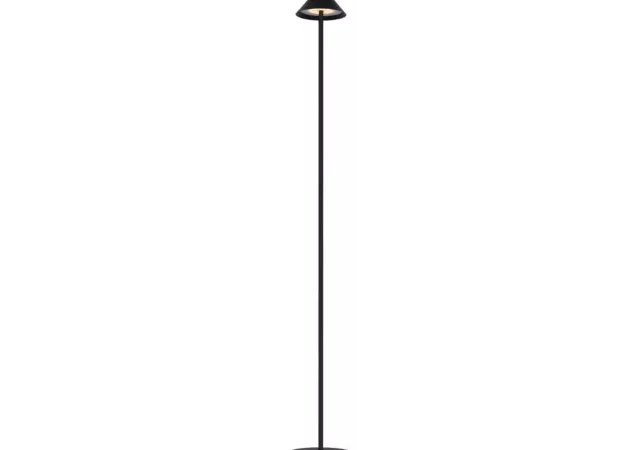 staanlamp zwart Incl. LED 3W oplaadbaar
